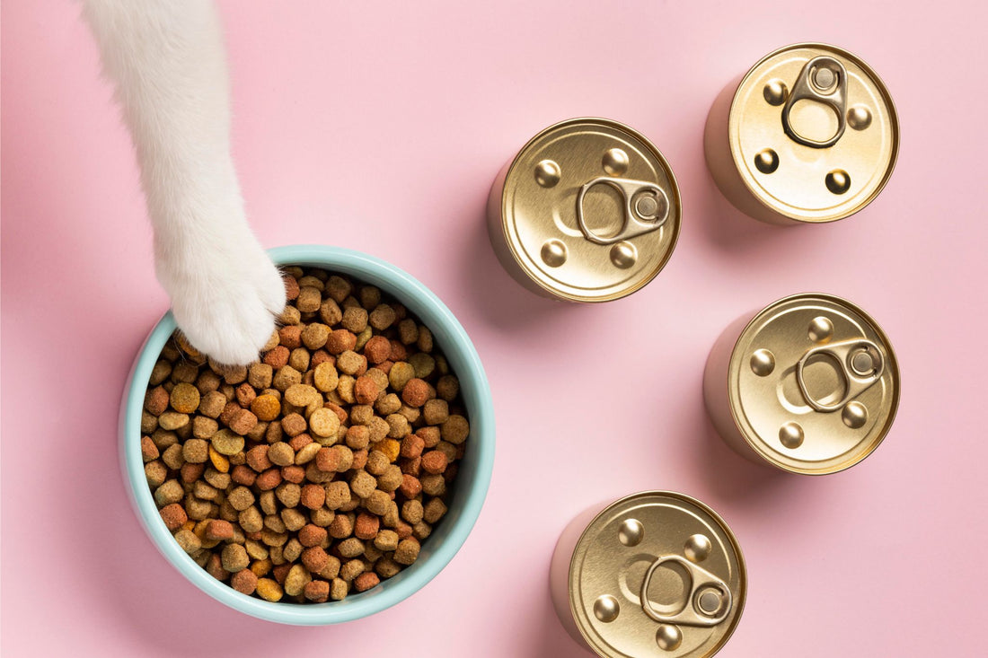 The Importance of Proper Nutrition for Your Pet