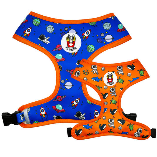 Duo Reversible Harness - Sea and Space