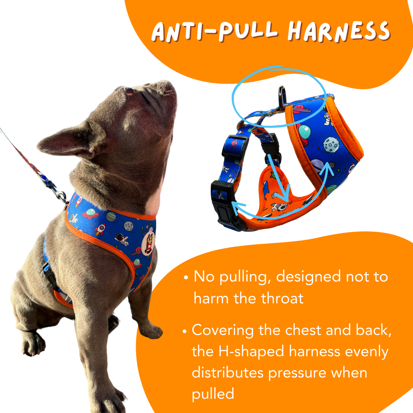 Duo Reversible Harness - Sea and Space